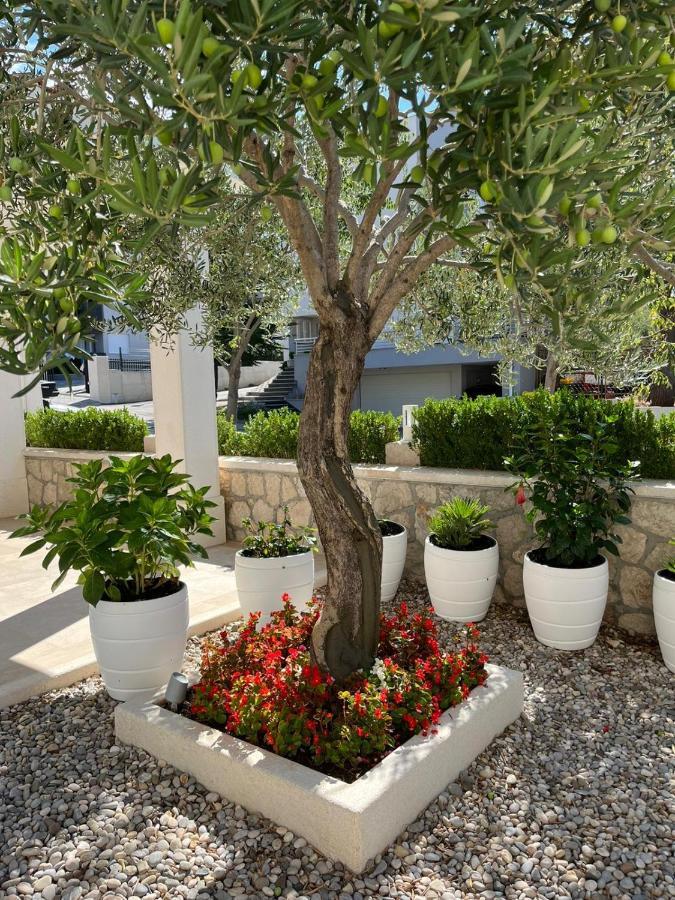 Apartman Stipic 1 Baška Voda Exterior foto