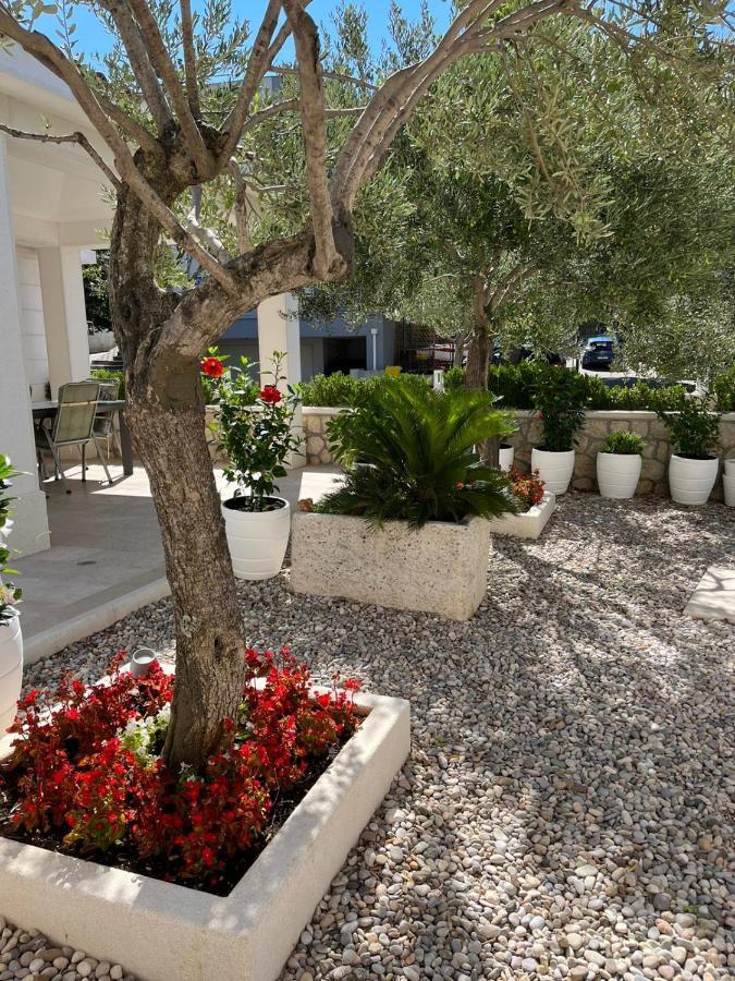 Apartman Stipic 1 Baška Voda Exterior foto