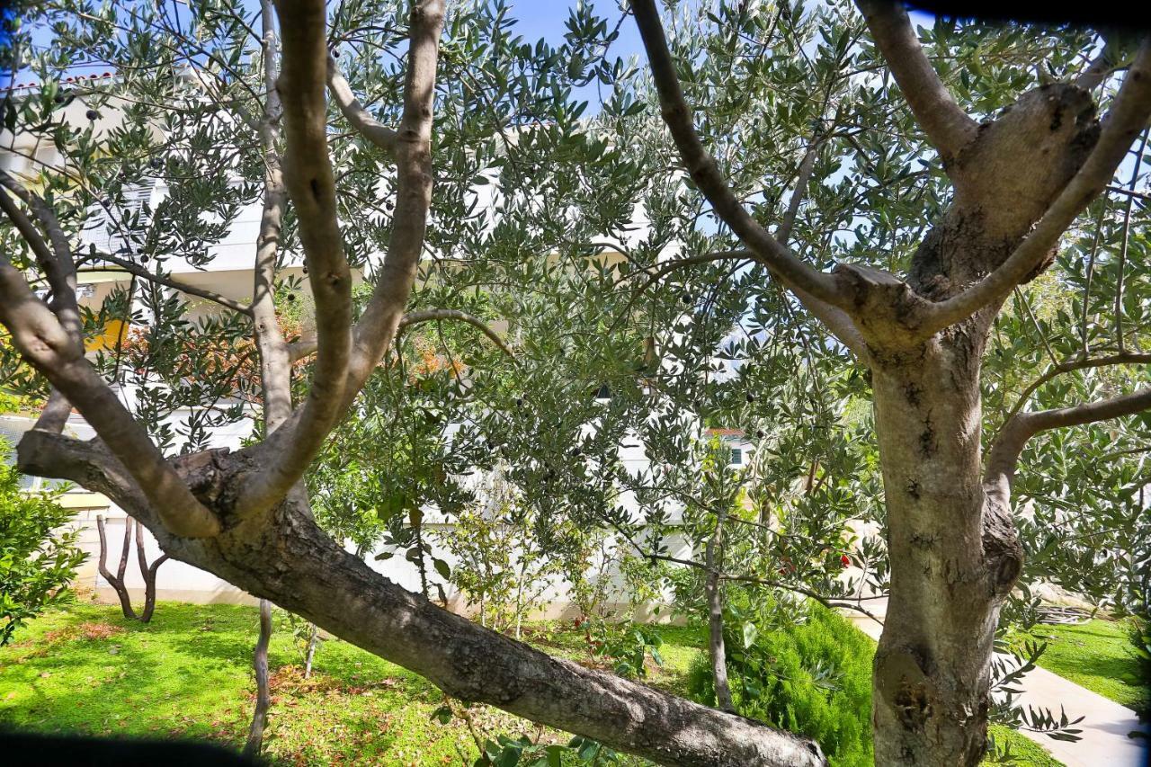 Apartman Stipic 1 Baška Voda Exterior foto